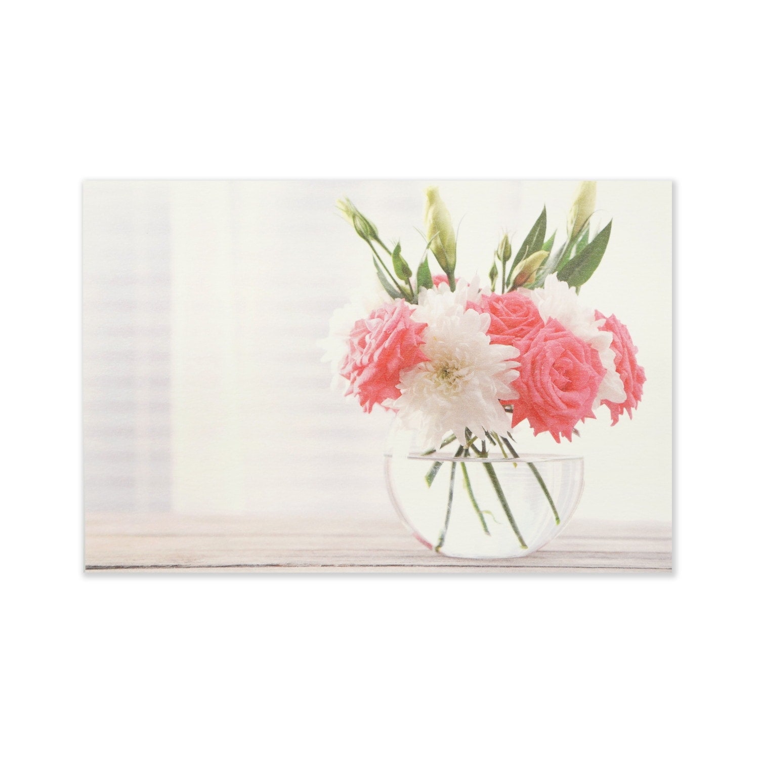 ポストカード 白とピンクのバラ｜pcr-100 | 新商品 | フロンティア公式