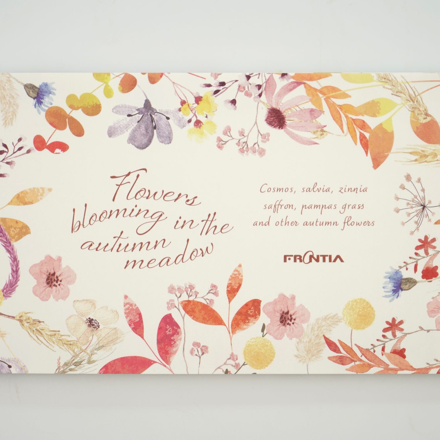 ��ɮ䵡�����β֡�mp-598