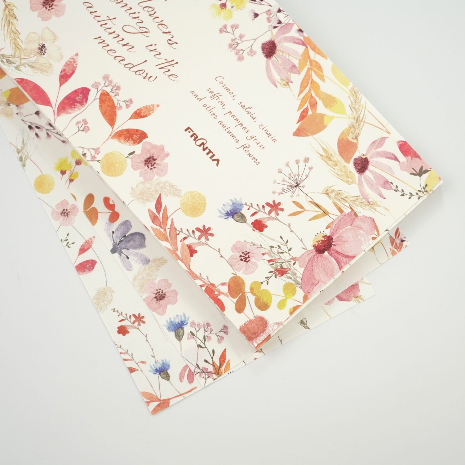 ��ɮ䵡�����β֡�mp-598