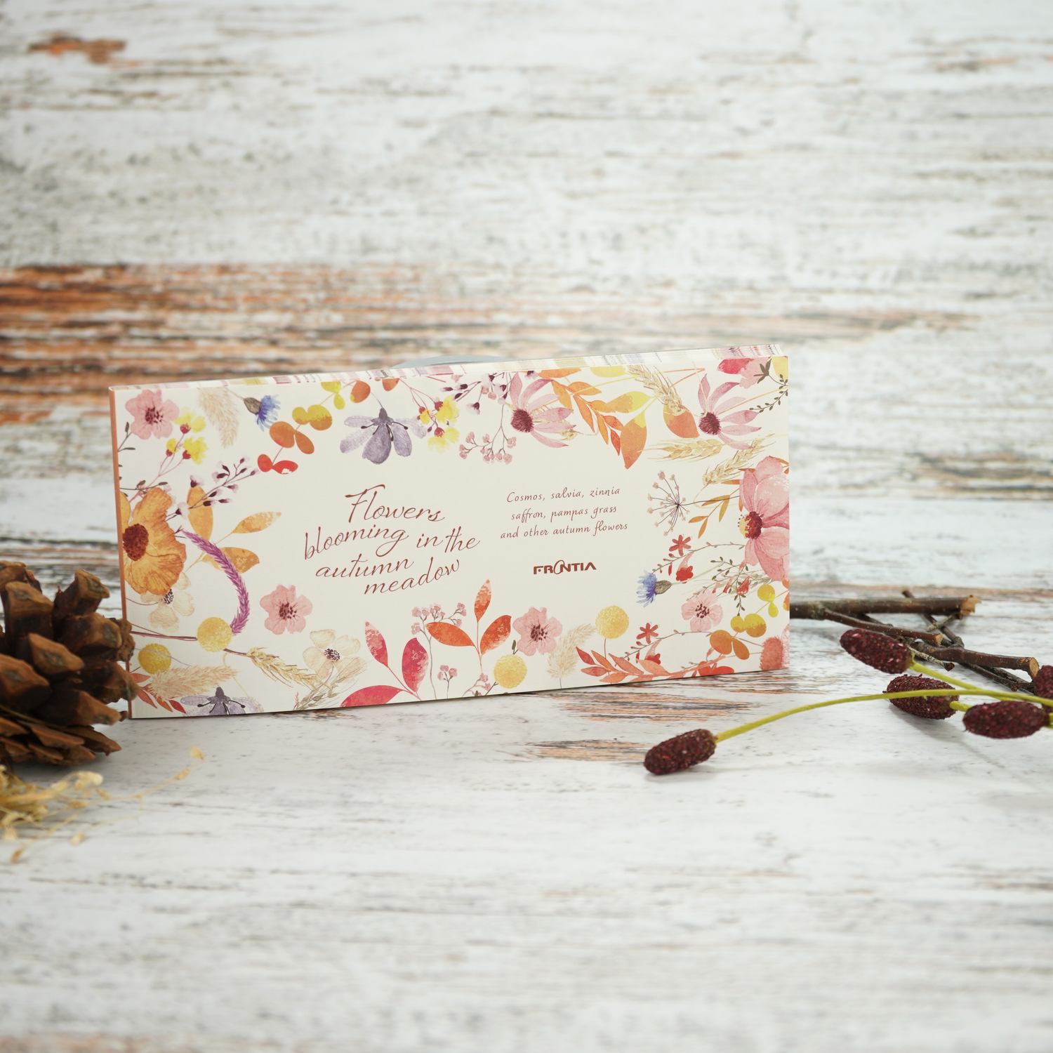 ��ɮ䵡�����β֡�mp-598