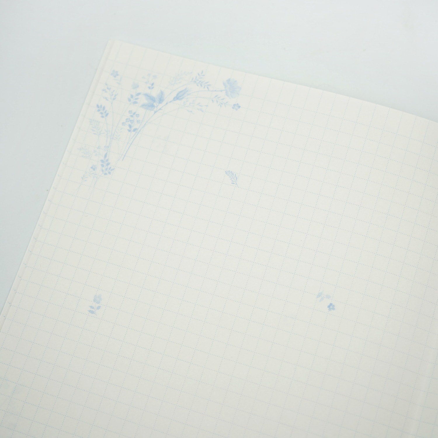 A5�Ρ��ȡ��ĤȲ��ξ��֡�cho-055