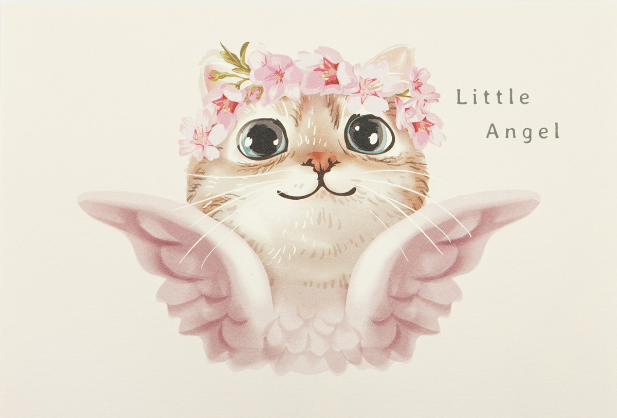 �ݥ��ȥ����ɡ���ȥ륨�󥸥����pcr-078