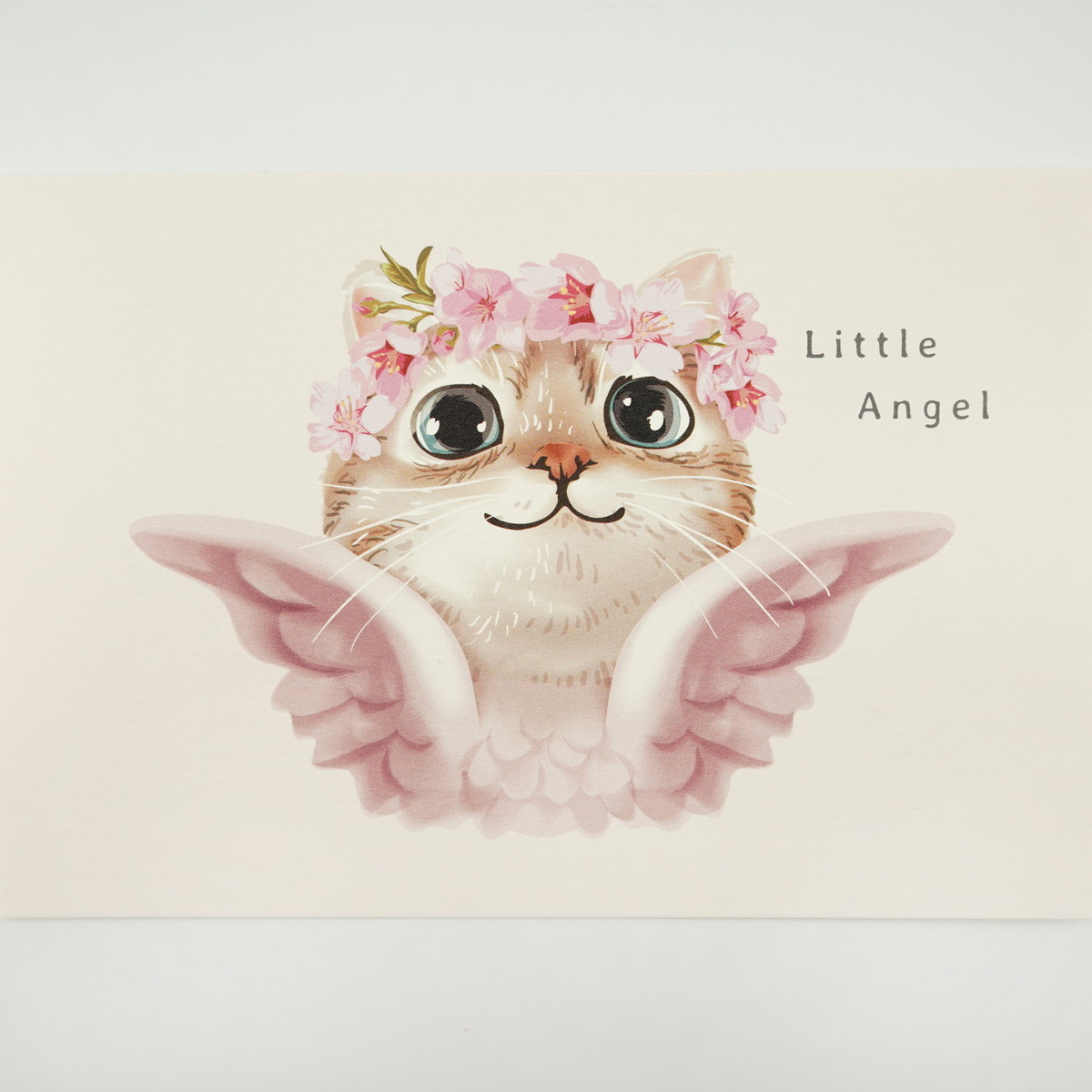 �ݥ��ȥ����ɡ���ȥ륨�󥸥����pcr-078