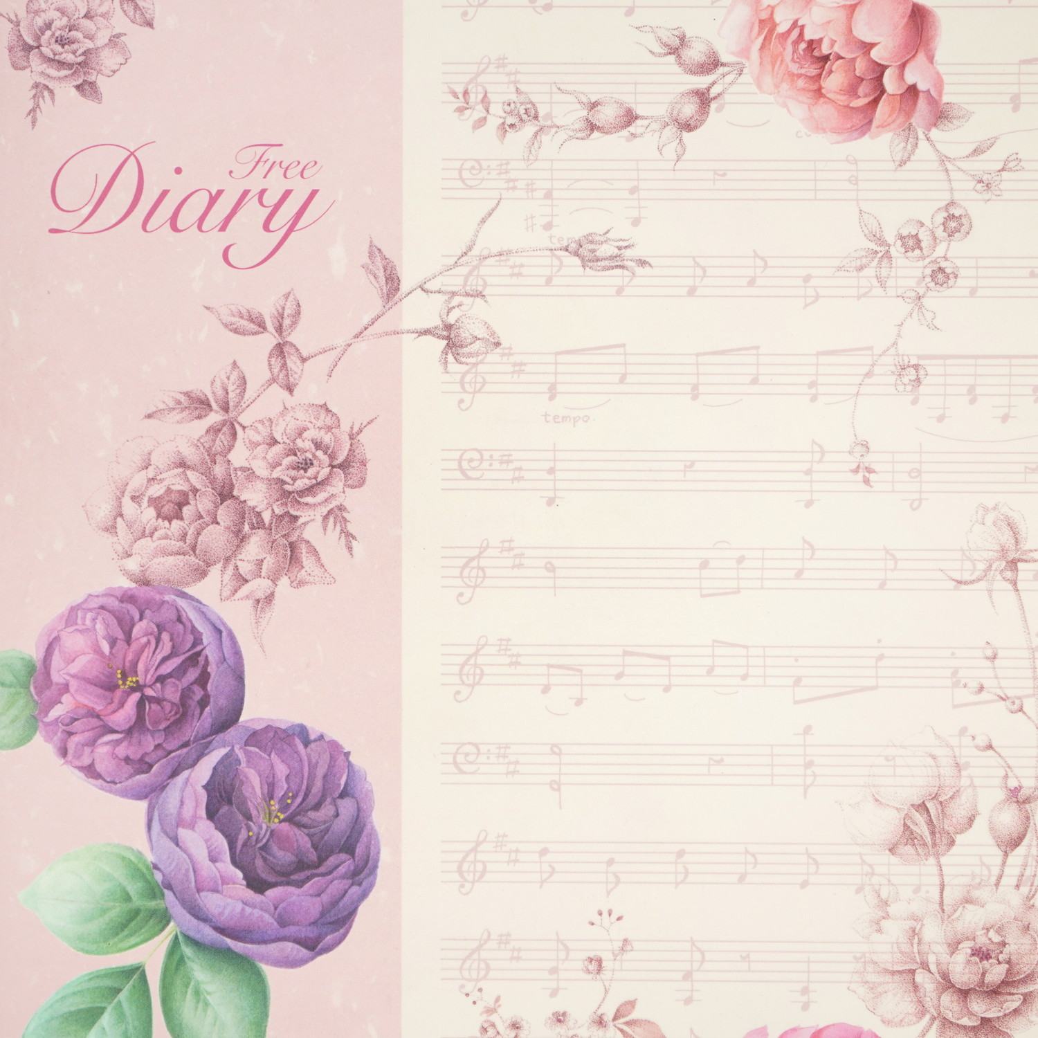 �ե꡼�������꡼��B5���������ޡ�cho-029