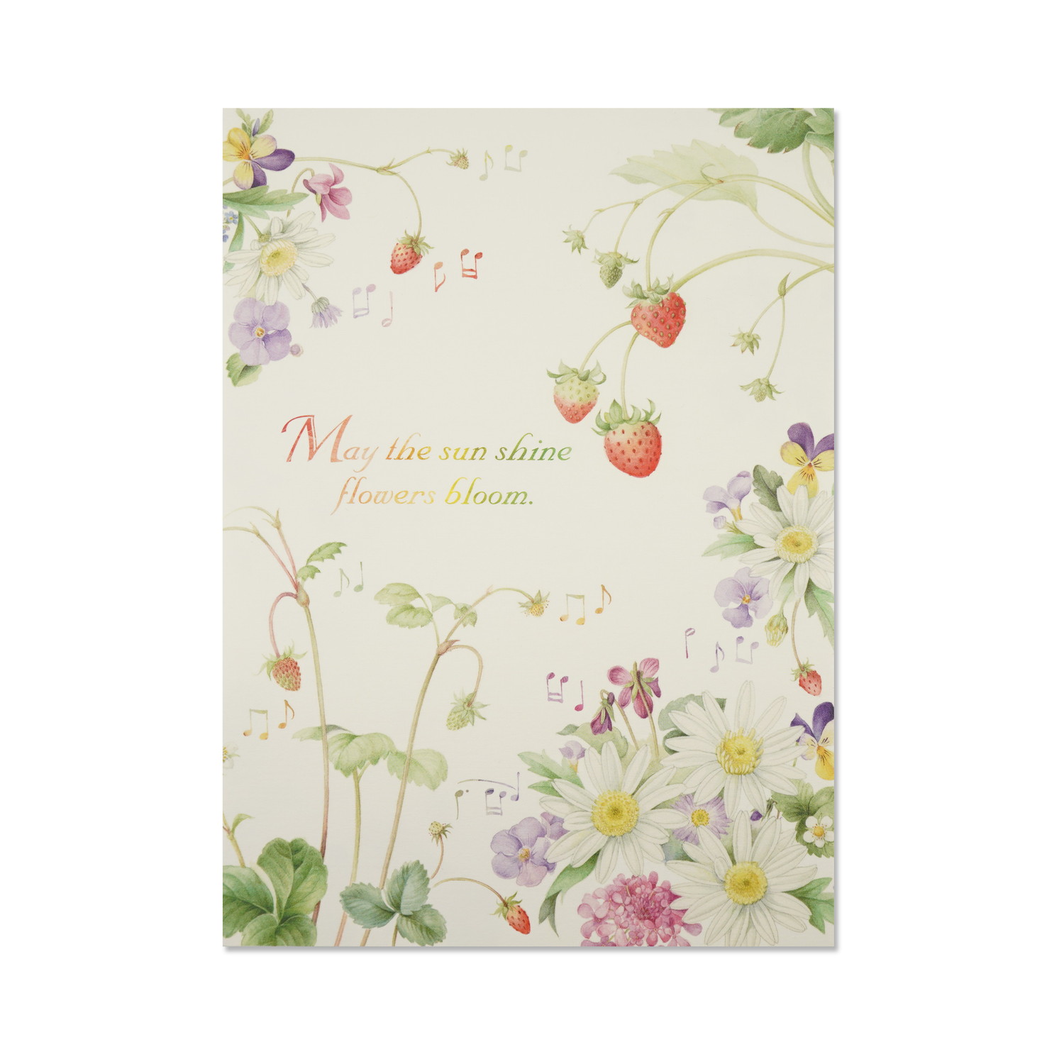 䵡֥롼।ȥޡåȡpd-666