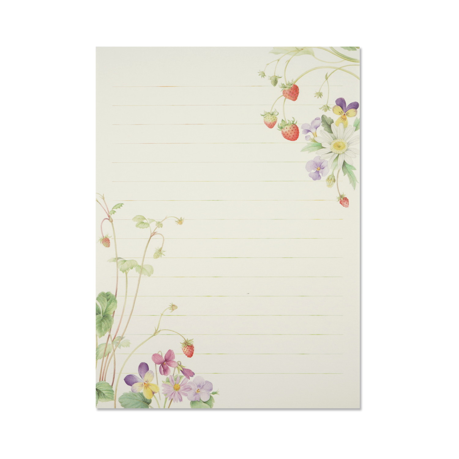 䵡֥롼।ȥޡåȡpd-666