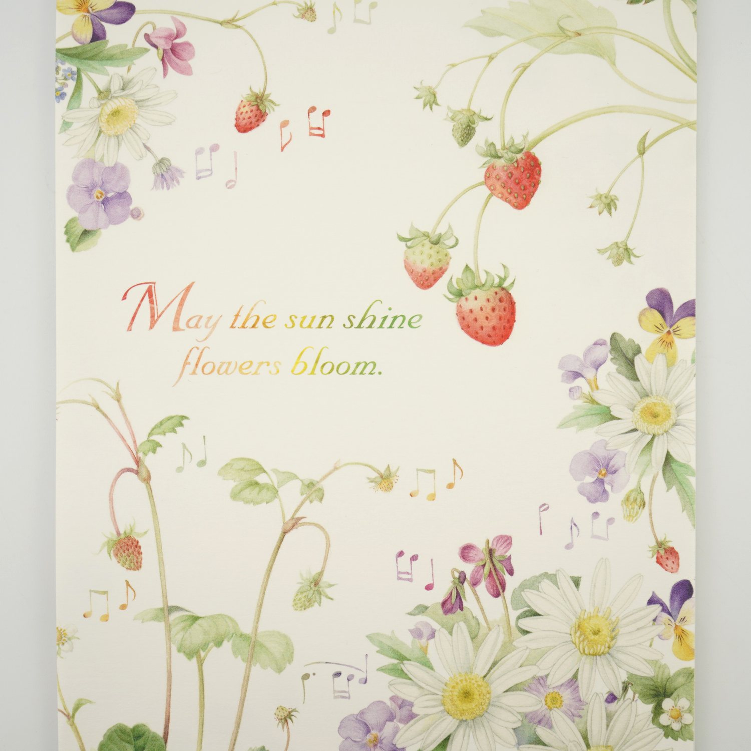 䵡֥롼।ȥޡåȡpd-666