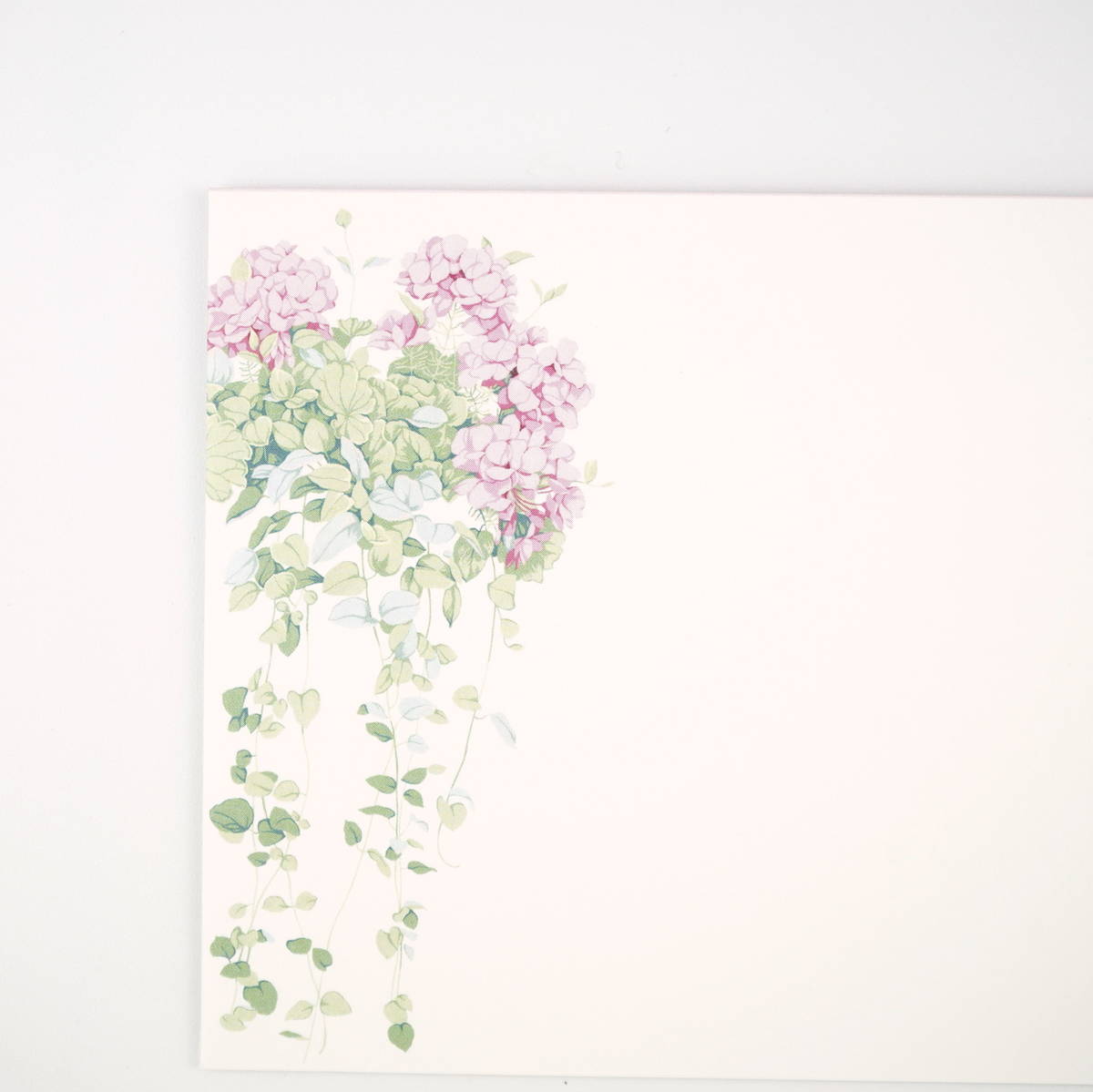 ����������˥�������ա�ev-620