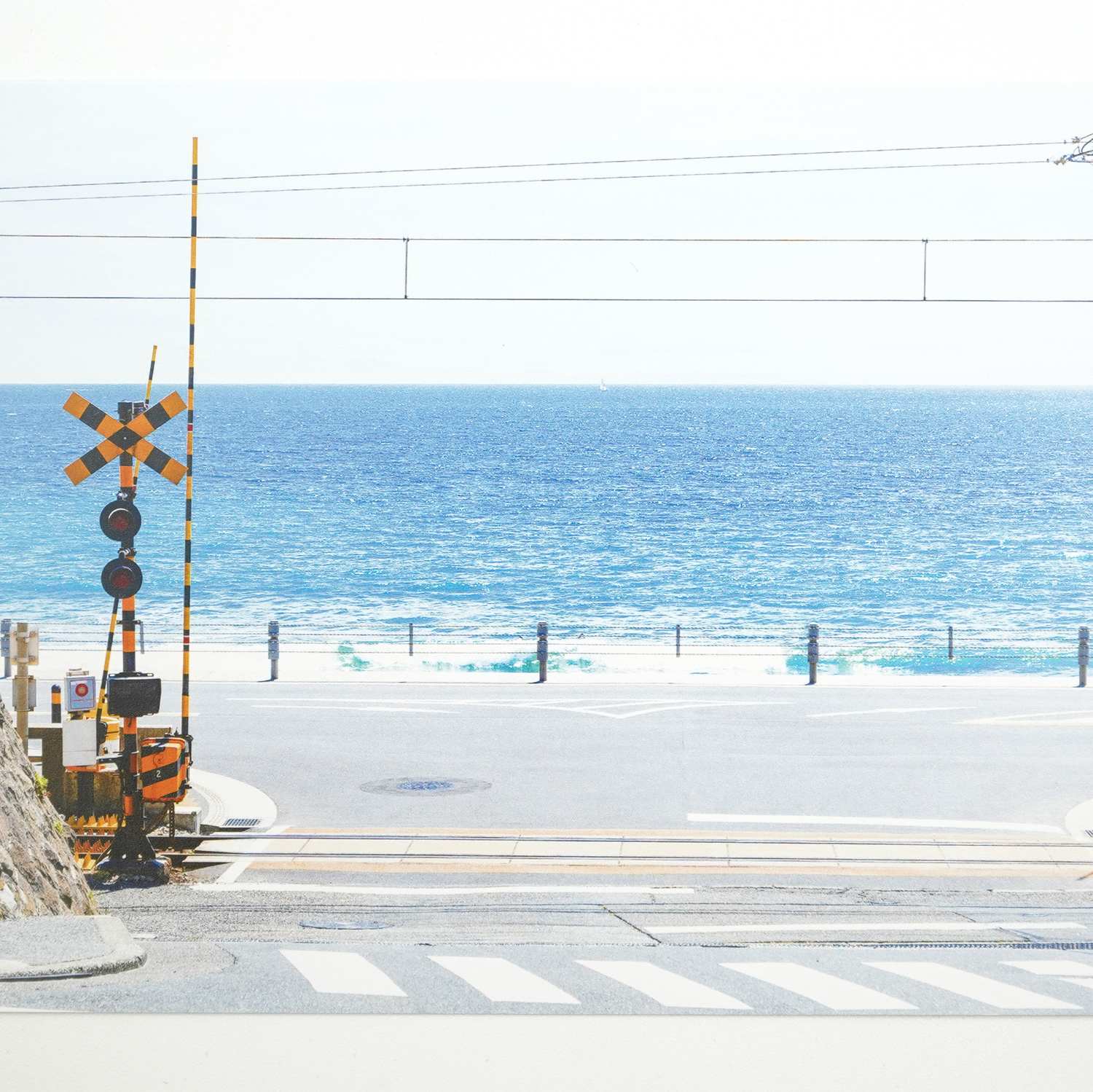 �ݥ��ȥ����ɡ����ҡ�����Ƨ�ڡ�pcr-157