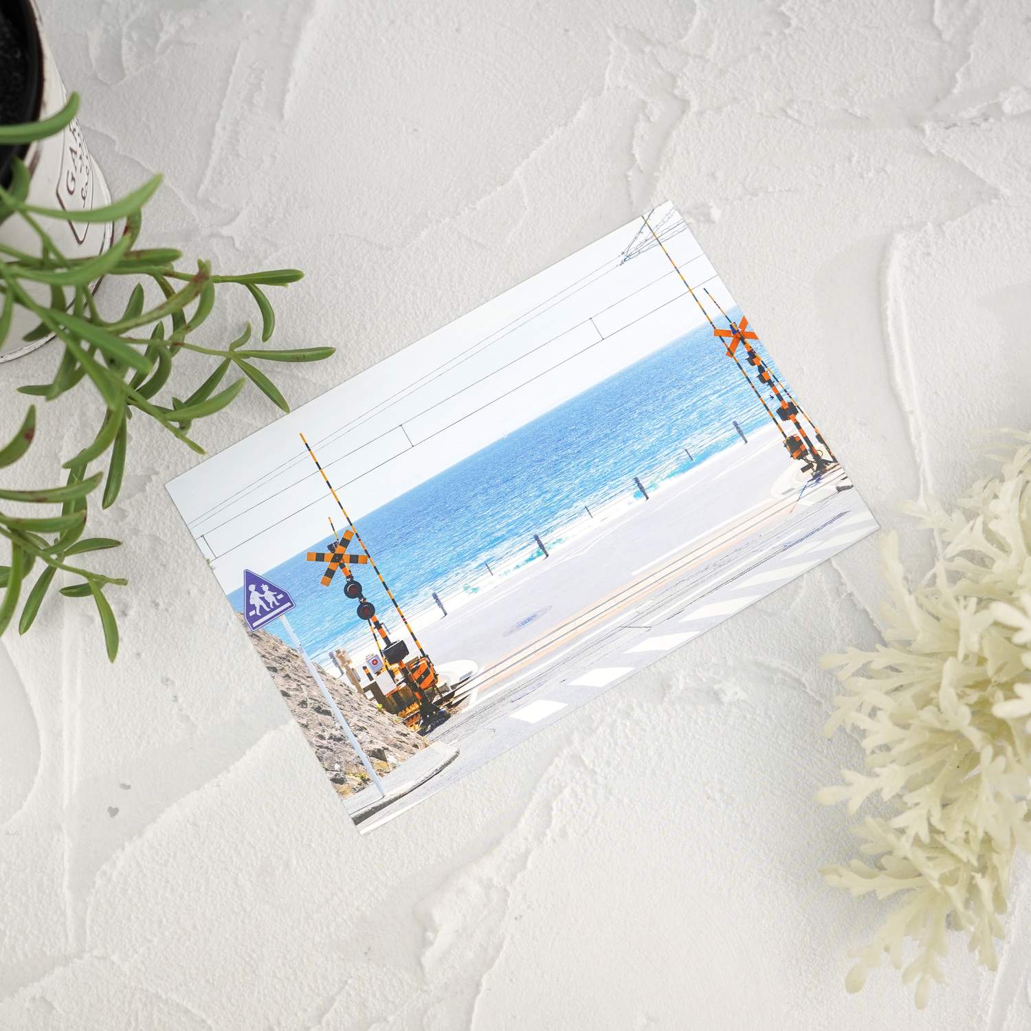 �ݥ��ȥ����ɡ����ҡ�����Ƨ�ڡ�pcr-157