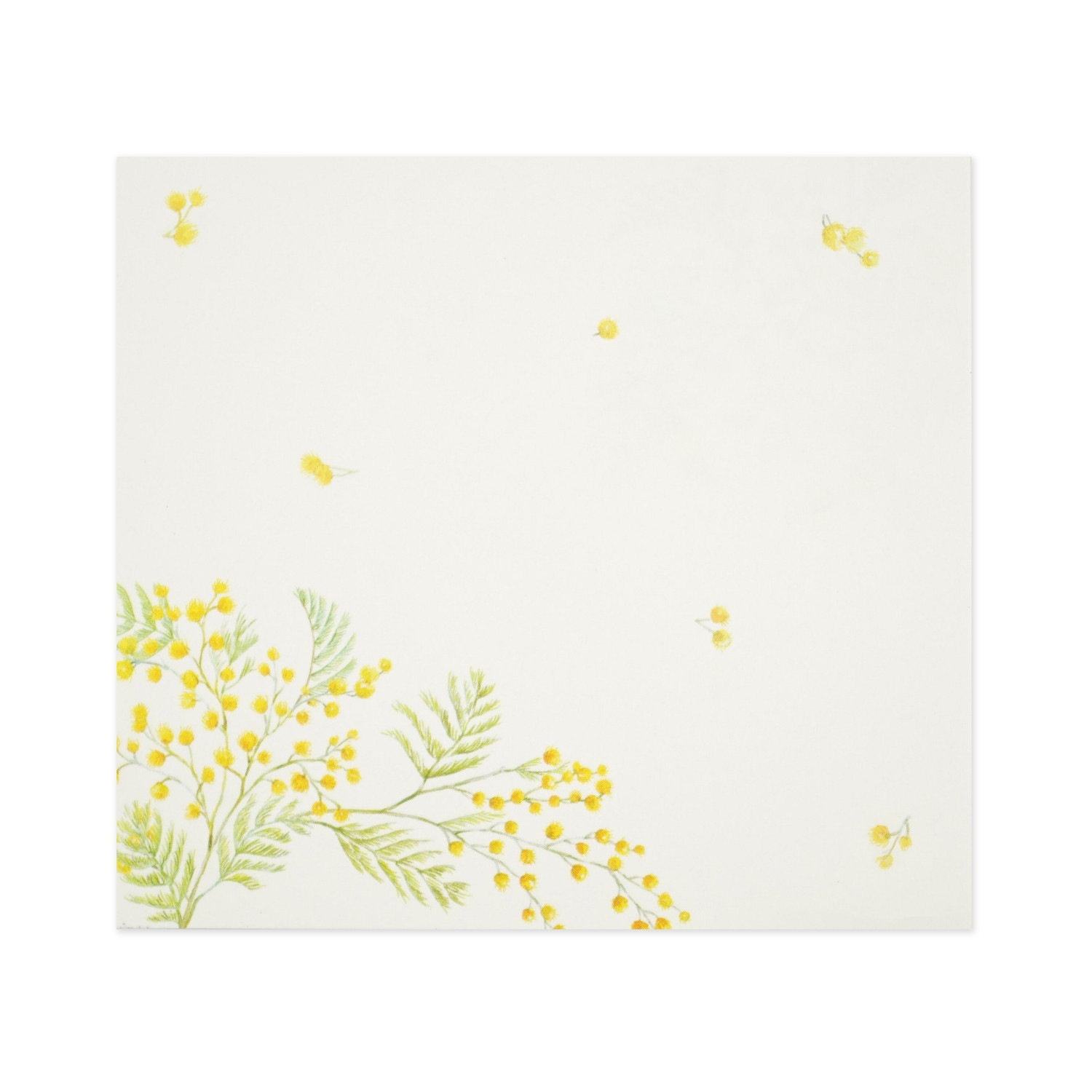 �֥��å���⡡�ߥ⥶��wp-083