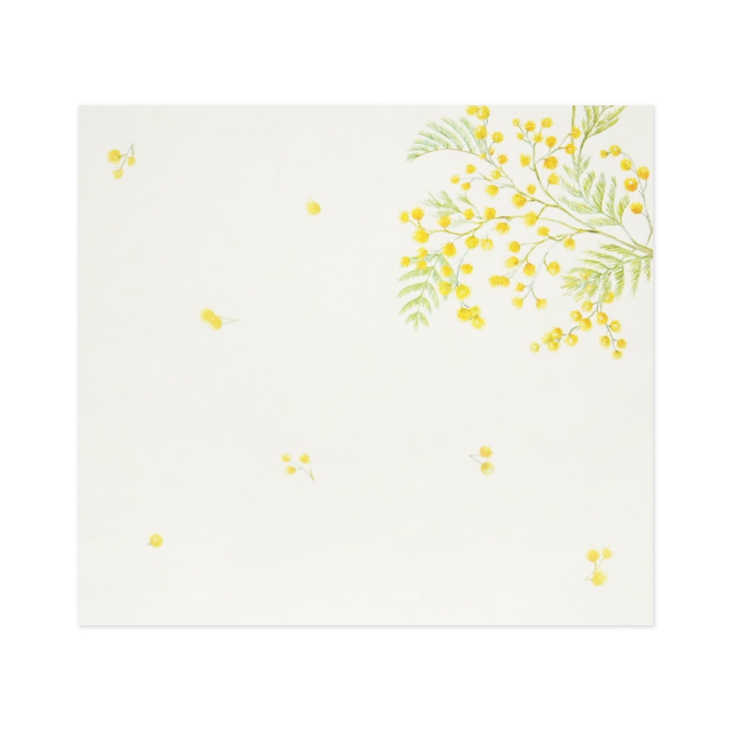 �֥��å���⡡�ߥ⥶��wp-083