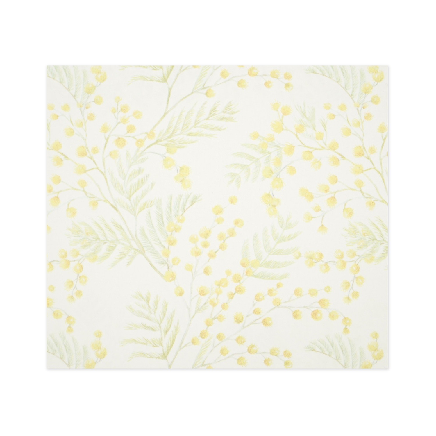 �֥��å���⡡�ߥ⥶��wp-083