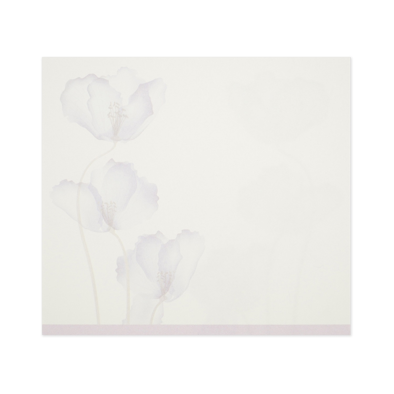 �֥��å���⡡���ꥹ����ե���wp-084