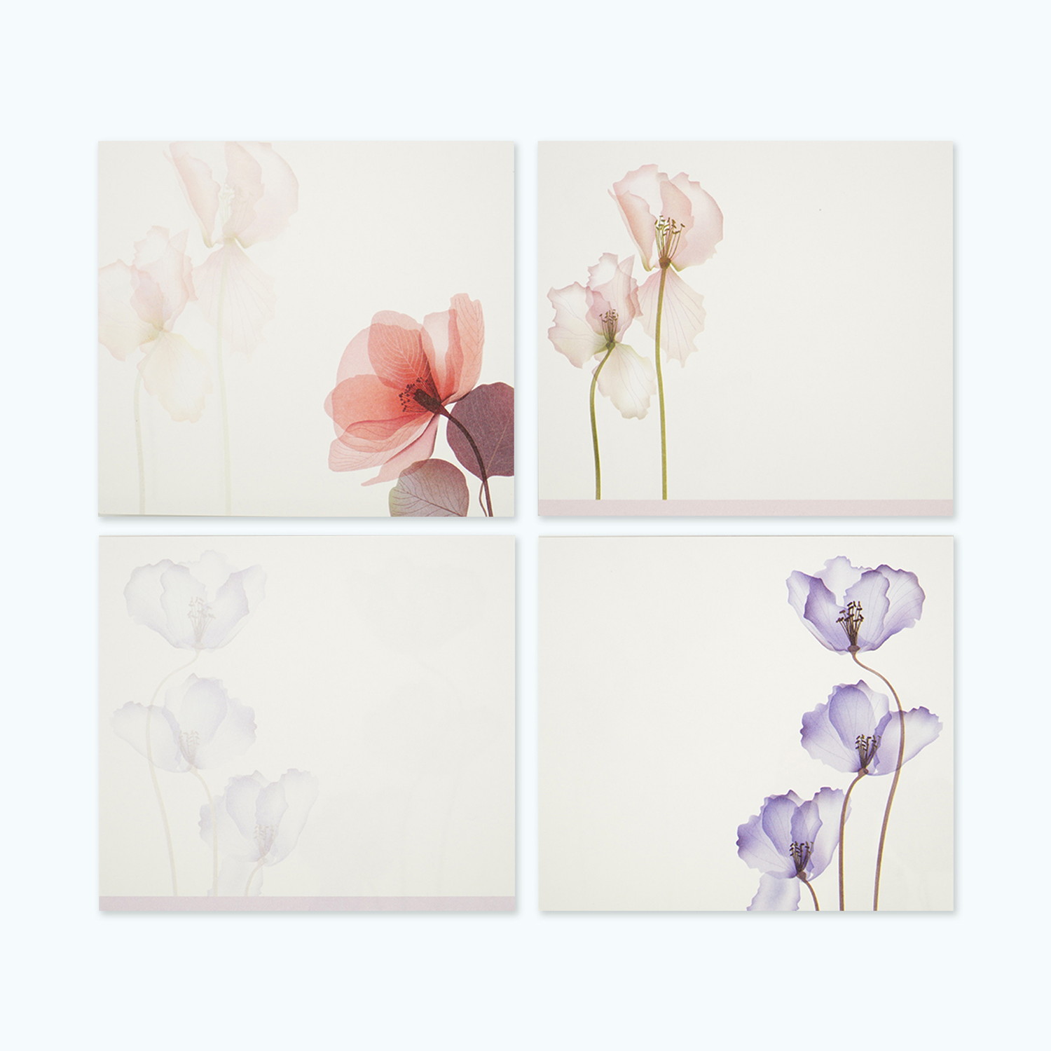 �֥��å���⡡���ꥹ����ե���wp-084