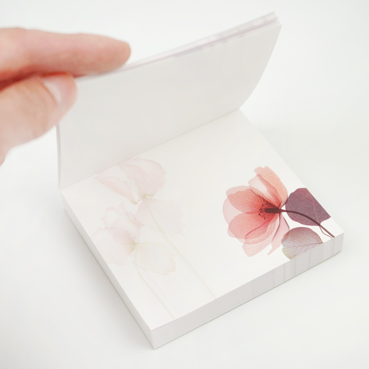 �֥��å���⡡���ꥹ����ե���wp-084