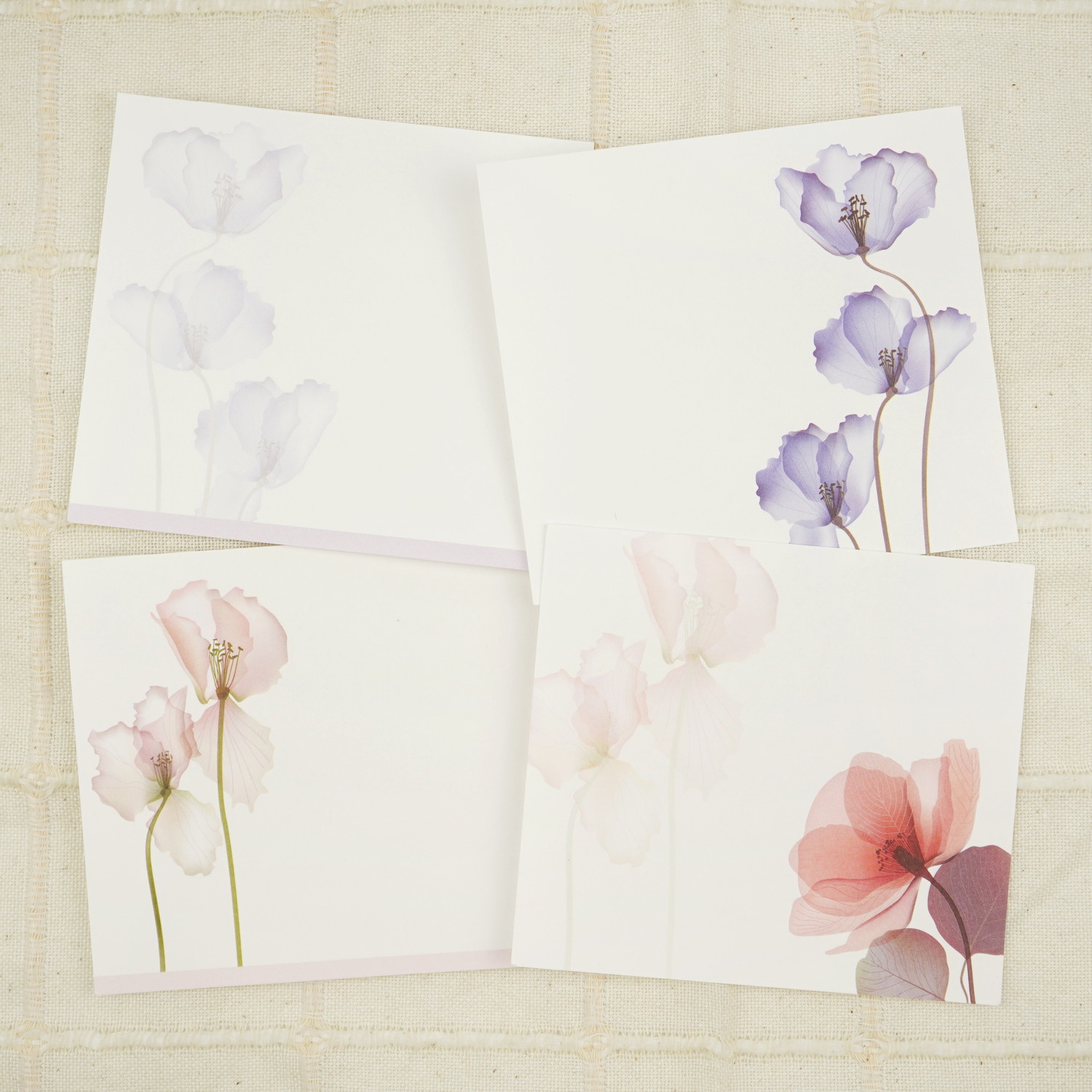 �֥��å���⡡���ꥹ����ե���wp-084