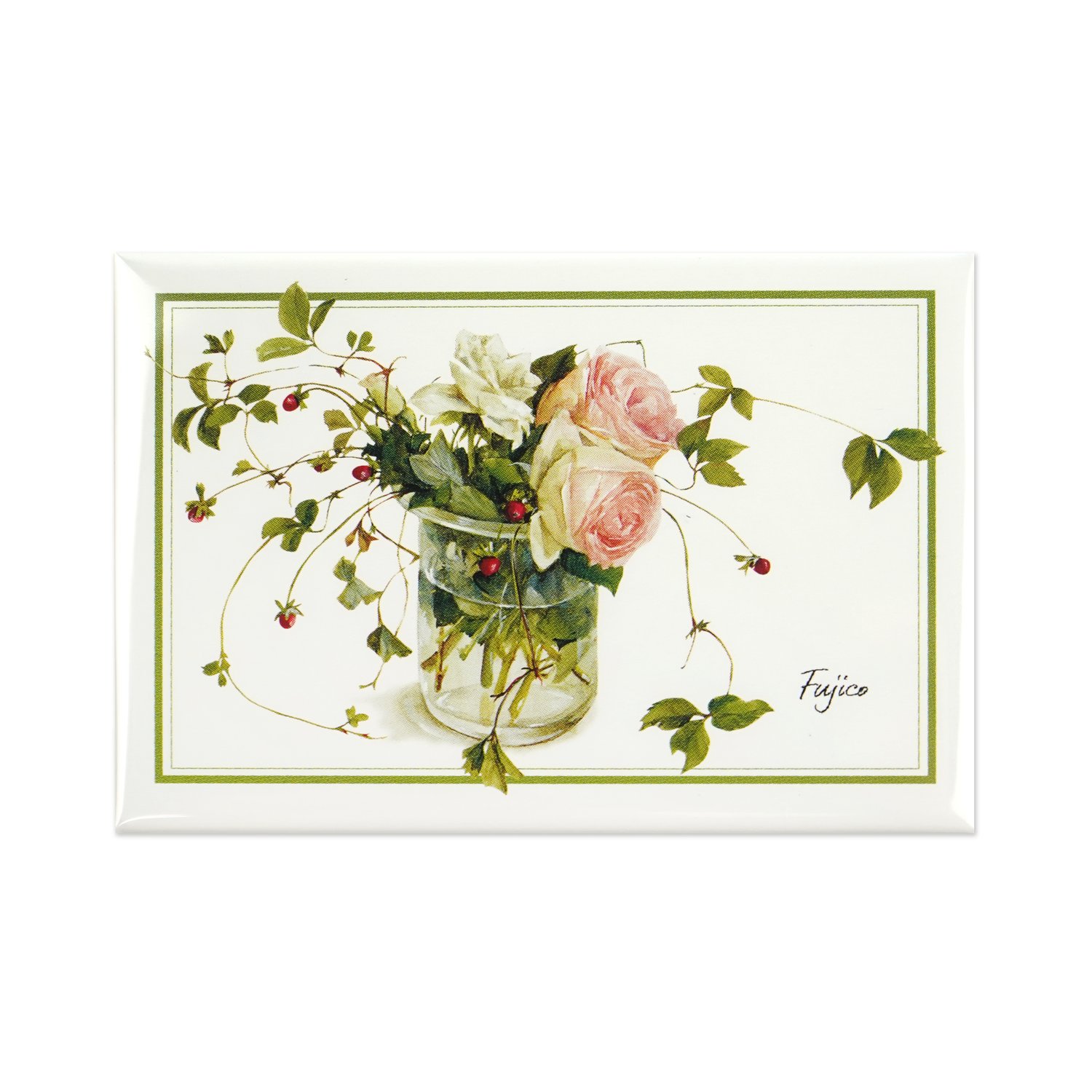 �ޥ��ͥåȡ�Fujico�إӥ�������im-027