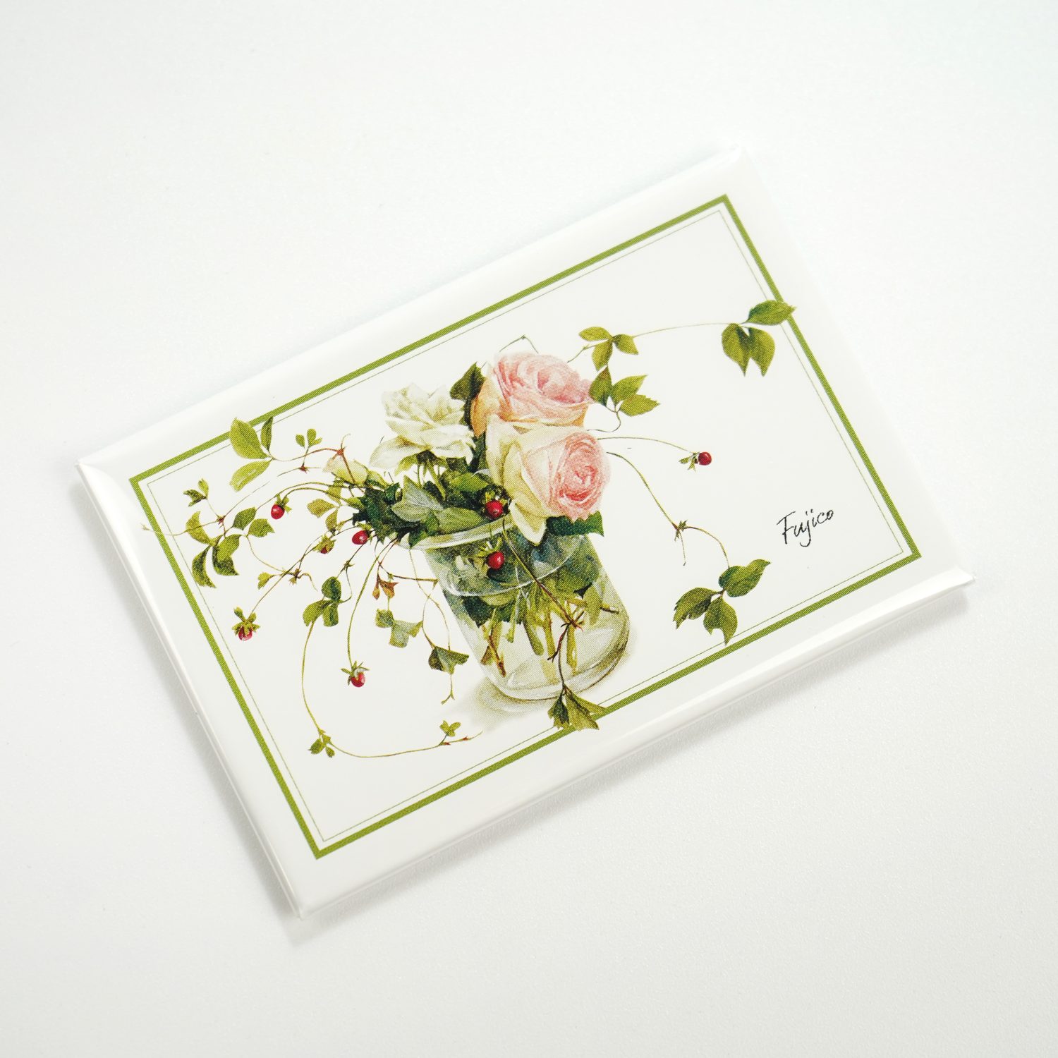 �ޥ��ͥåȡ�Fujico�إӥ�������im-027