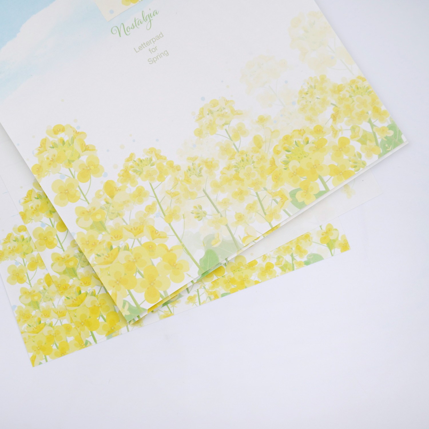 便箋 菜の花の便り｜pd-641 | 新商品,2026春・新緑,便箋 | FRONTIA