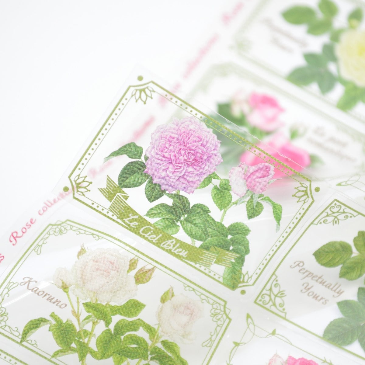 �����롡���饷�å������������꡼���ȡ�sl-271