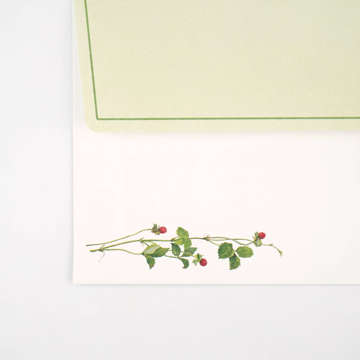 FSCǧʡǧڻѡۡ쥿åȡաҡإӥlst-243