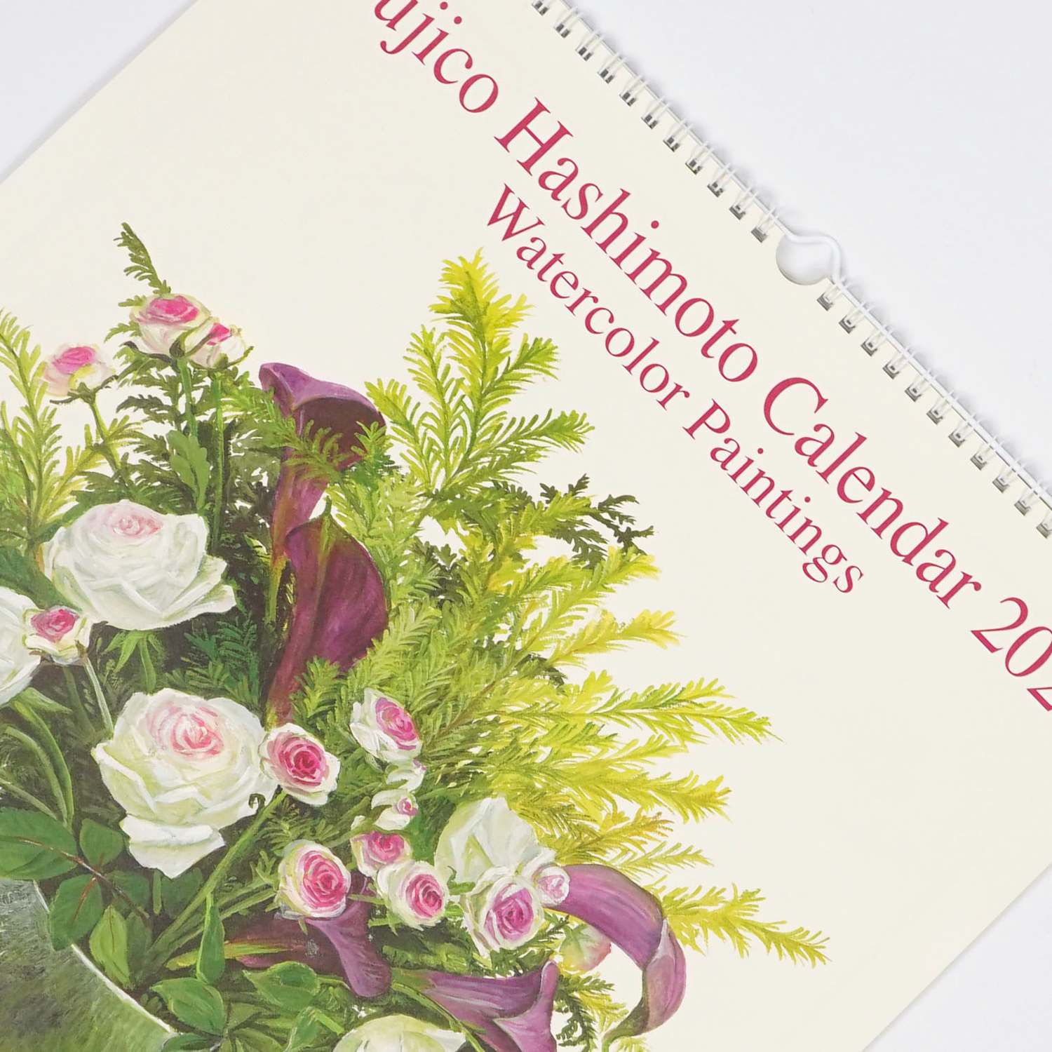 2026���������̡̣���������ңң�����cal-201