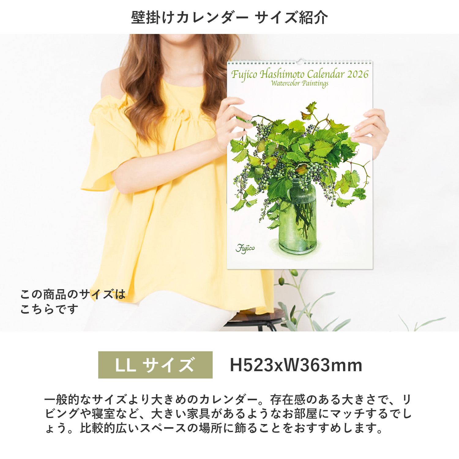 2026���������̡̣���������ңң�����cal-201