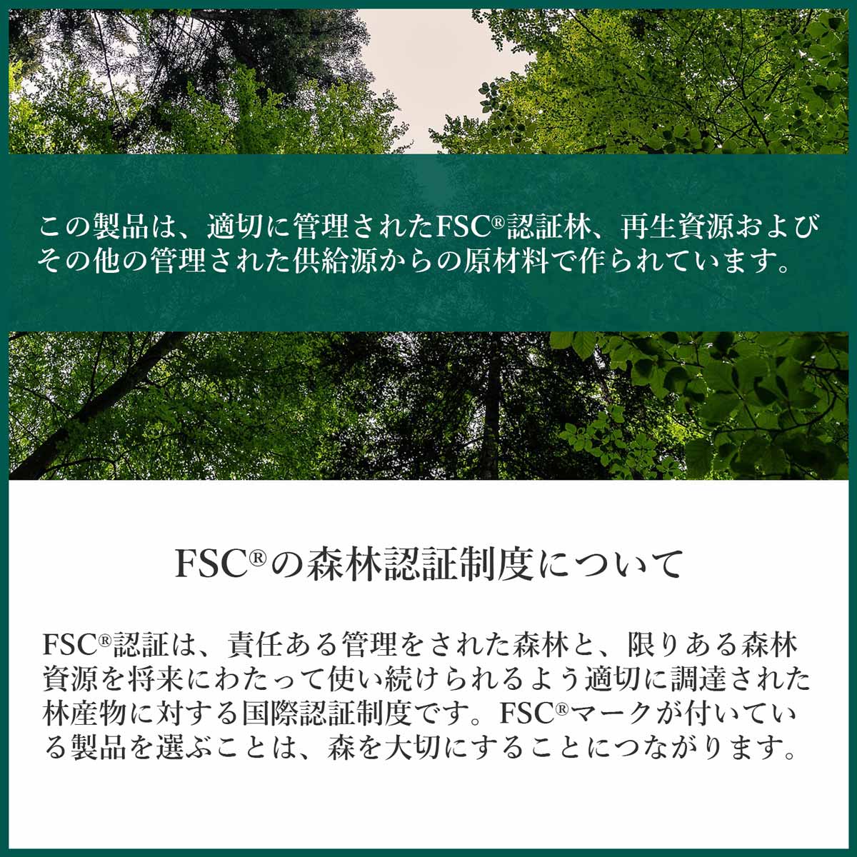��FSCǧ�����ʡ�����ǧ�ڻ���ѡۡ��쥿�����åȡ��������ա���������ҡ���������lst-244