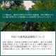 ��FSCǧ�����ʡ�����ǧ�ڻ���ѡۡ��쥿�����åȡ��������ա���������ҡ���������lst-244