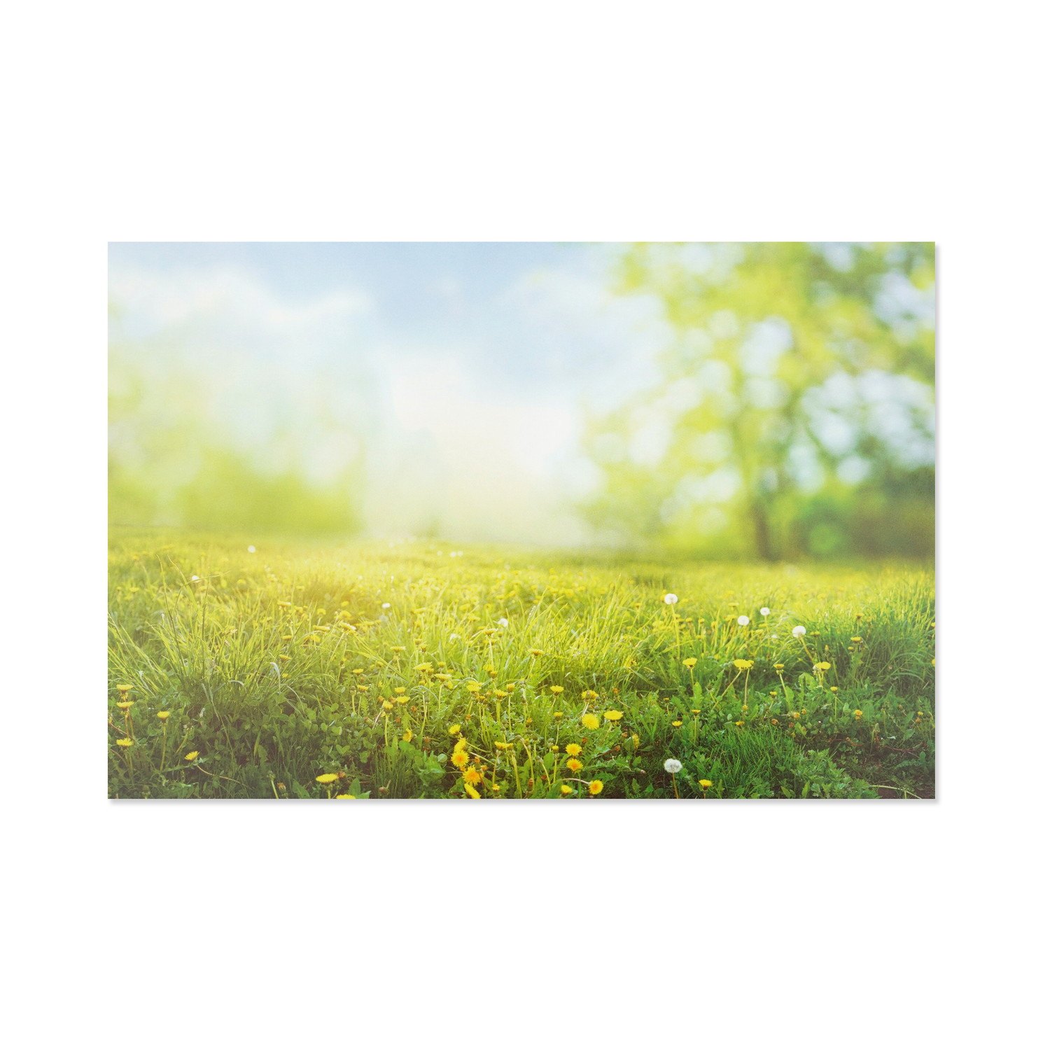 �ݥ��ȥ����ɡ��դ����pcr-132