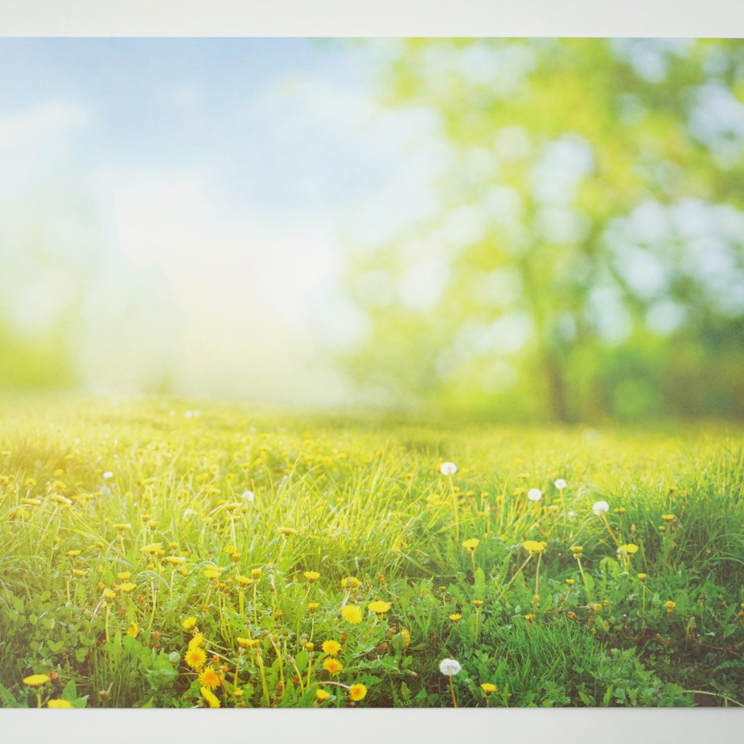 �ݥ��ȥ����ɡ��դ����pcr-132