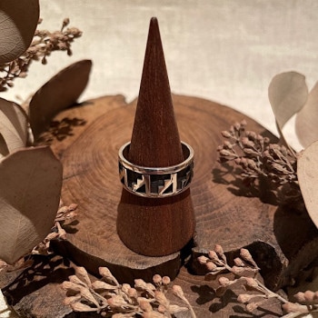 �����С��쥤���