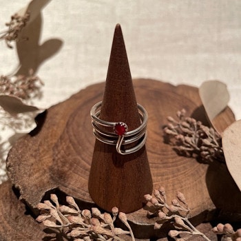 �����ͥåȥ��