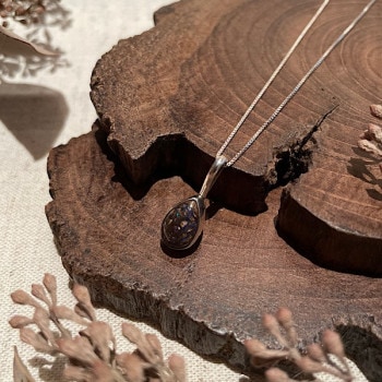 ���ѡ���ͥå��쥹