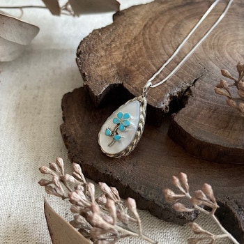 �ե��ͥå��쥹