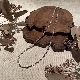 �����Ф�3�ж�45��