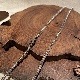 �����Ф�3�ж�55��