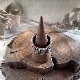 3D�����С��쥤���
