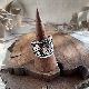 3D�����С��쥤���