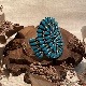 ���饹�����Х󥰥�