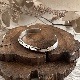 ������ץ���Х󥰥�