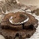 ������ץ���Х󥰥�
