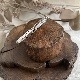 ������ץ���Х󥰥�