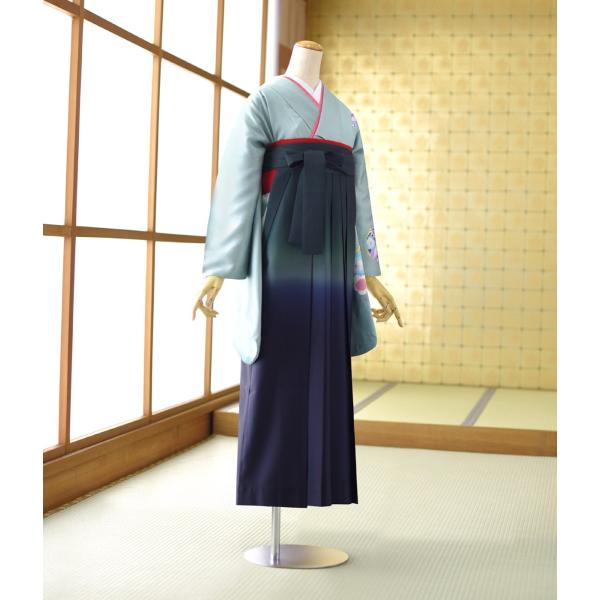  󥿥 ´ȼ   ʪ 忧ݲ   ꡼ܤ 90cm103cm  Ĺ 154cm167cm    ´ȼ ʪ󥿥 ӥå
