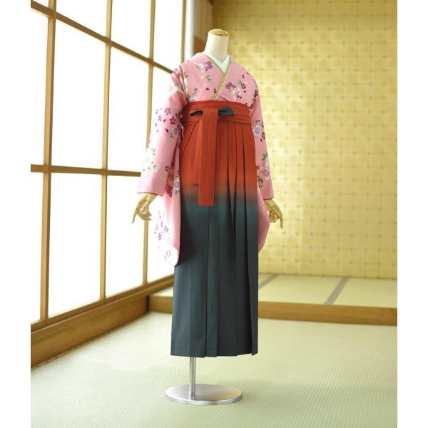  󥿥 ´ȼ   ʪ ԥ󥯥󥸾   ܤ꡼ 90cm102cm Ĺ 154cm166cm   ´ȼ ʪ󥿥 ӥå