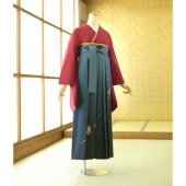  󥿥 ´ȼ 󥿥    ʪ Ԥ   ܤǻ꡼ĳ 87102 Ĺ 149cm166cm    ʪ󥿥 ´༰