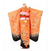 ���޻� ��󥿥� 7�� ���λ� �ֻ�����֡Կ�Ĺ��120cm�������ñ�����դ��ޥ˥奢���դ�! �Ҷ���ʪ ���դ� 7�� ���� ��ʪ��󥿥� 753 ���� ���޻���󥿥�