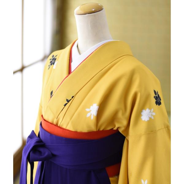 ´�ȼ� �� ����  ��ʪ ���ᾮ��  �� �� 93cm��96cm  ��Ĺ 156cm��163cm ���� ���� ��ʪ��󥿥� ´�ȼ� �ӥ��å� �߰��� �ե륻�å� ������� ���Ҹ�