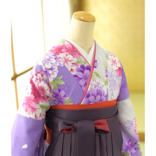 �� ��󥿥� ´�ȼ��� ���� ��ʪ ���󥬥�ƣ���ܤ����� �� ��ܤ����ֻɽ����� ��Ĺ 153cm��168cm ���� ���� ��ʪ��󥿥� ´�ȼ� �ӥ�󥿥� �߰���